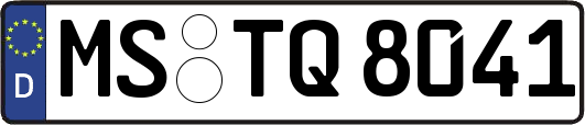 MS-TQ8041