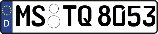 MS-TQ8053