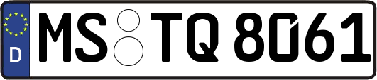 MS-TQ8061