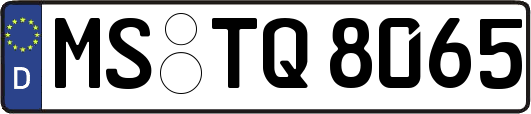MS-TQ8065