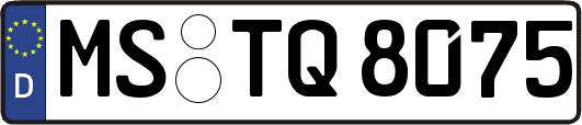 MS-TQ8075