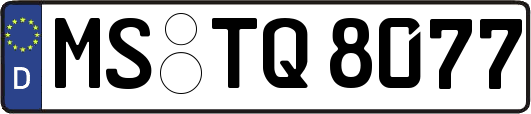 MS-TQ8077