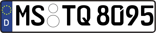 MS-TQ8095
