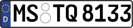 MS-TQ8133