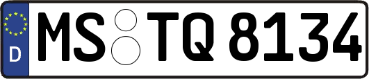 MS-TQ8134