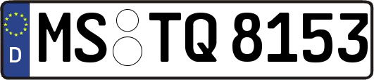 MS-TQ8153