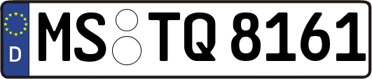 MS-TQ8161