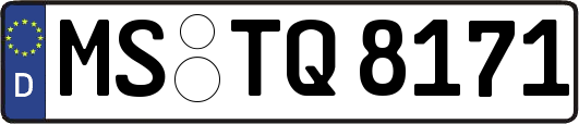 MS-TQ8171