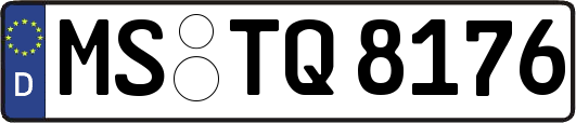 MS-TQ8176