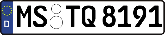 MS-TQ8191