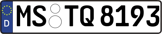 MS-TQ8193
