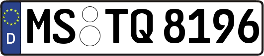 MS-TQ8196