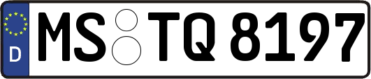 MS-TQ8197
