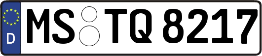 MS-TQ8217