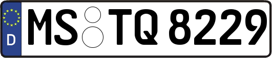 MS-TQ8229