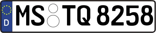 MS-TQ8258