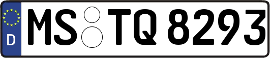 MS-TQ8293