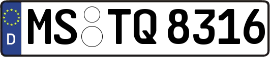 MS-TQ8316