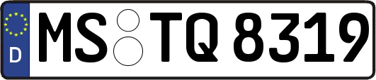 MS-TQ8319