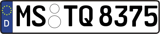 MS-TQ8375