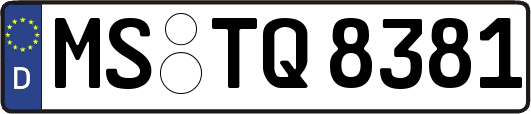 MS-TQ8381