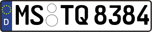 MS-TQ8384