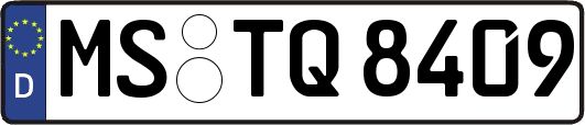 MS-TQ8409