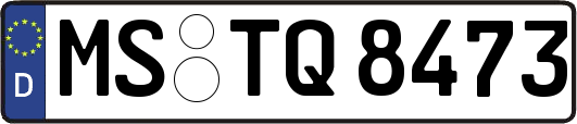MS-TQ8473