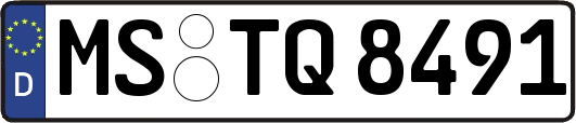 MS-TQ8491