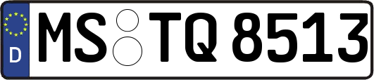 MS-TQ8513