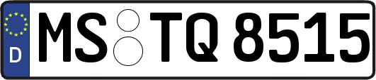 MS-TQ8515