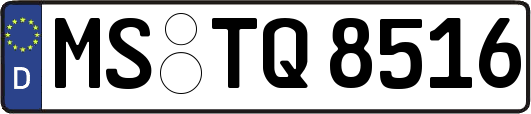 MS-TQ8516