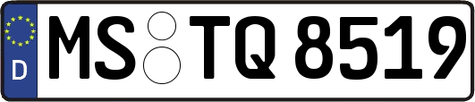 MS-TQ8519