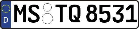 MS-TQ8531