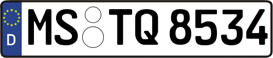MS-TQ8534
