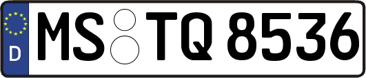 MS-TQ8536