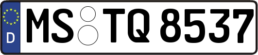 MS-TQ8537