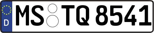 MS-TQ8541