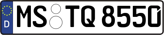 MS-TQ8550