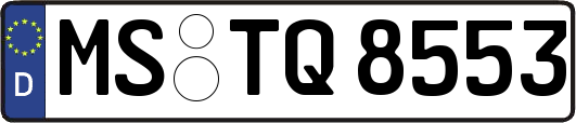 MS-TQ8553