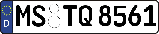 MS-TQ8561