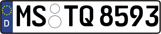 MS-TQ8593