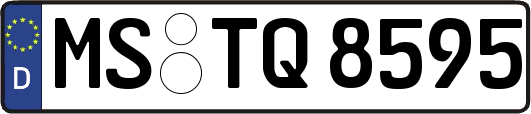 MS-TQ8595