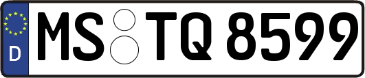 MS-TQ8599