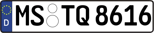 MS-TQ8616