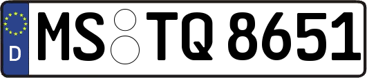 MS-TQ8651