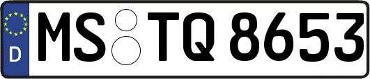 MS-TQ8653