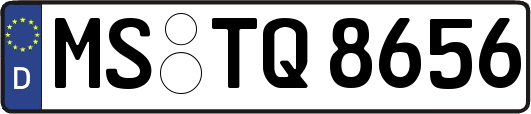 MS-TQ8656