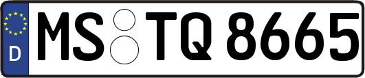 MS-TQ8665