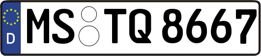 MS-TQ8667